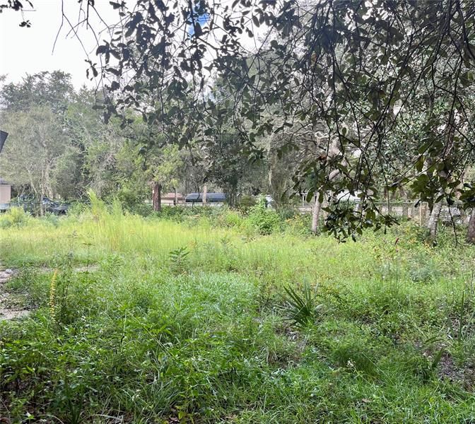 View of property from back corner, road facing