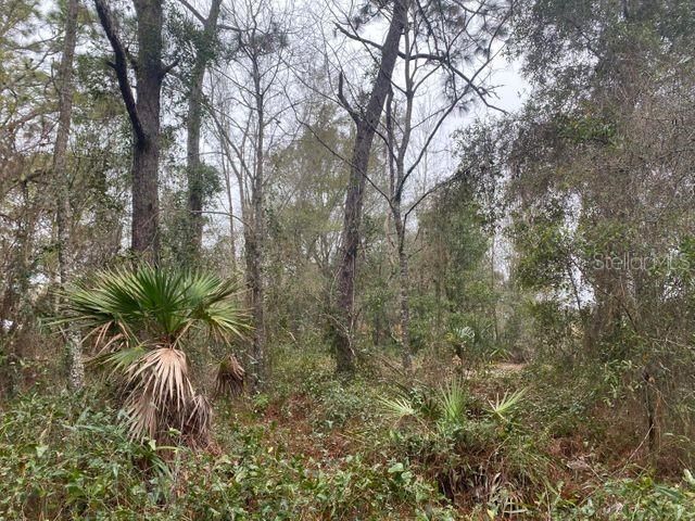 Recently Sold: $13,900 (0.59 acres)