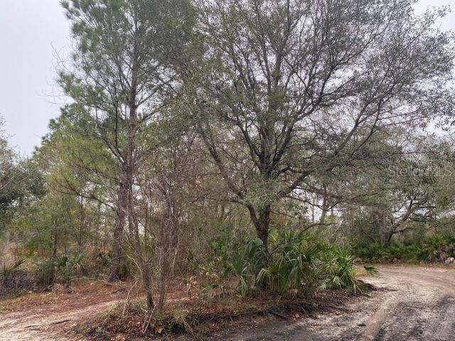 Vendido Recientemente: $13,900 (0.59 acres)