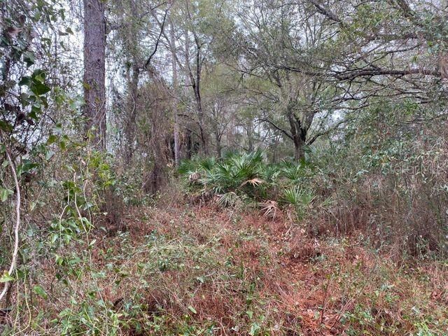 Recently Sold: $13,900 (0.59 acres)