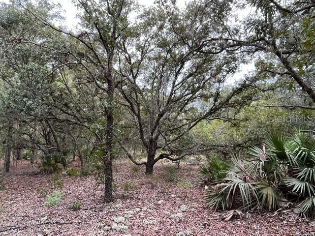 Recently Sold: $10,900 (0.23 acres)