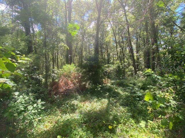 Recently Sold: $11,900 (0.33 acres)