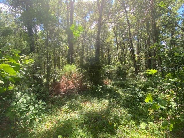 Recently Sold: $11,900 (0.33 acres)
