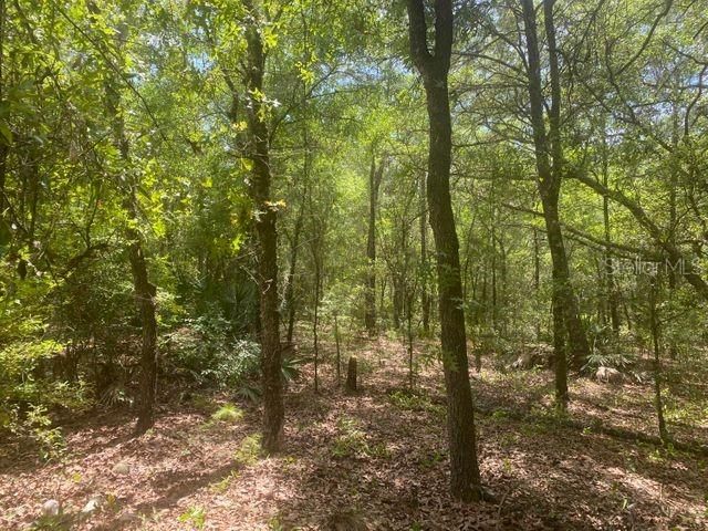 Recently Sold: $8,500 (0.43 acres)