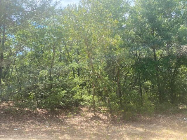 Recently Sold: $8,500 (0.43 acres)