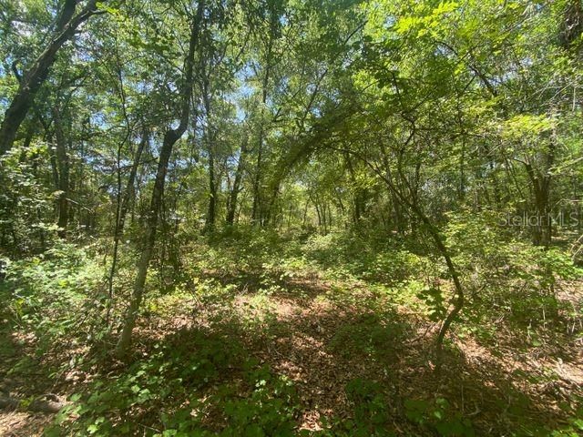 Recently Sold: $11,500 (1.00 acres)