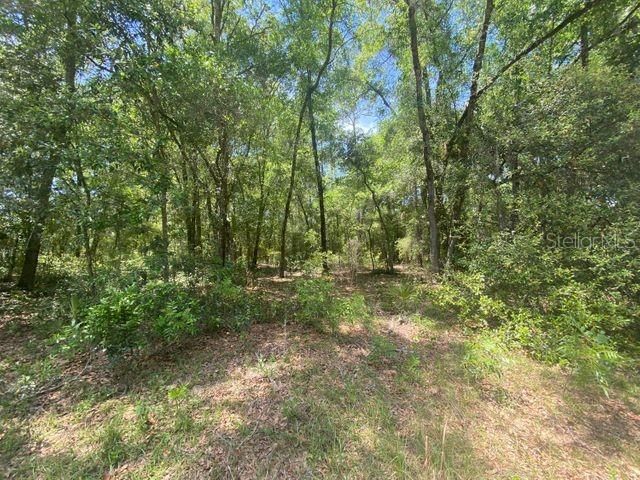 Recently Sold: $11,500 (1.00 acres)