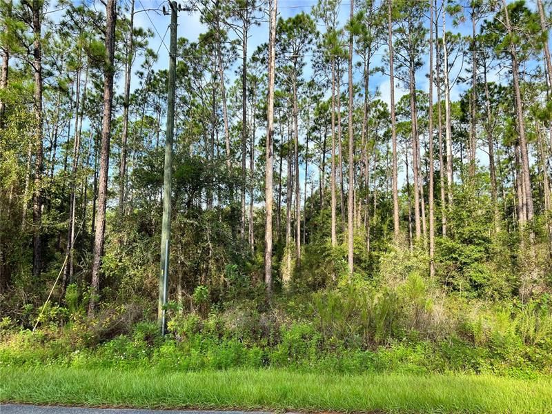 Vendido Recientemente: $35,900 (2.02 acres)