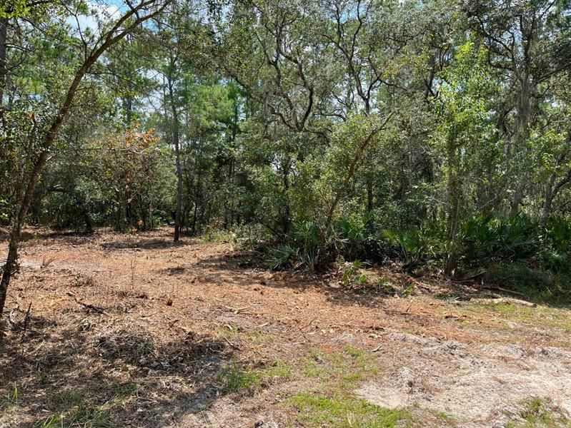 Recently Sold: $11,500 (1.06 acres)