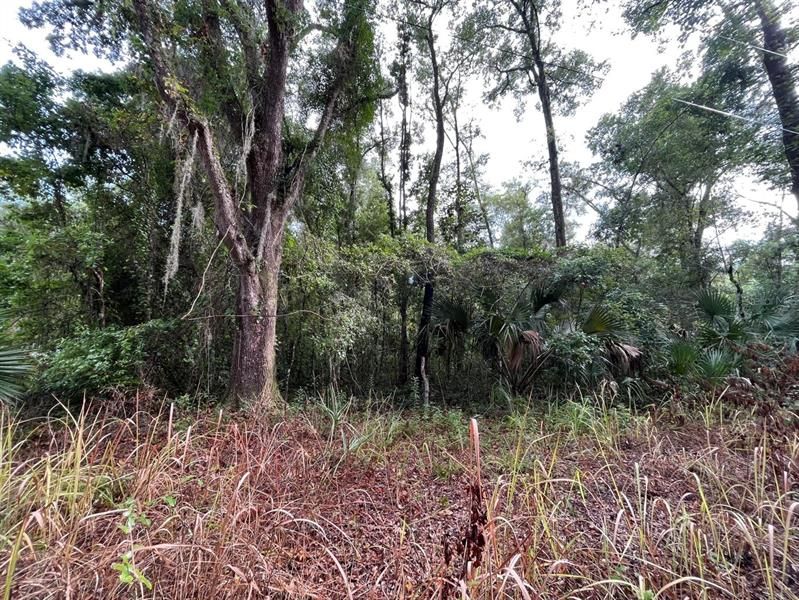 Vendido Recientemente: $9,900 (0.16 acres)