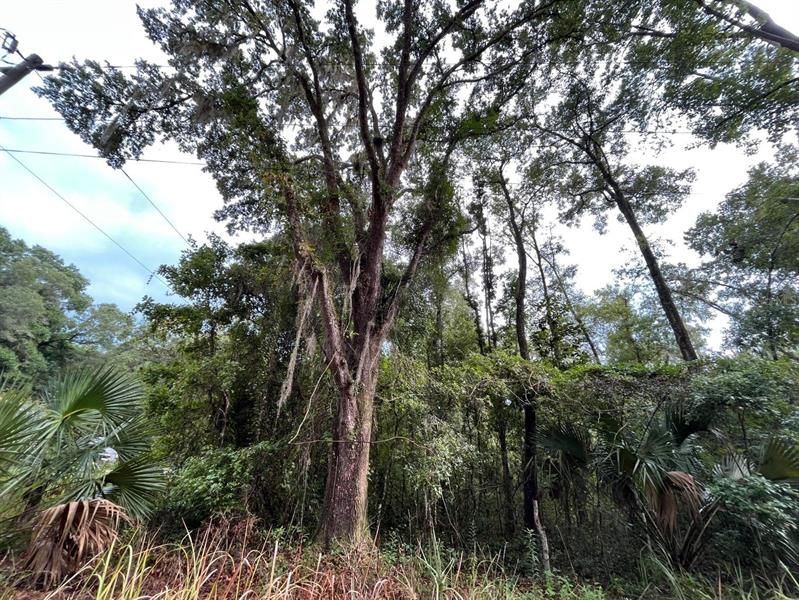 Vendido Recientemente: $9,900 (0.16 acres)