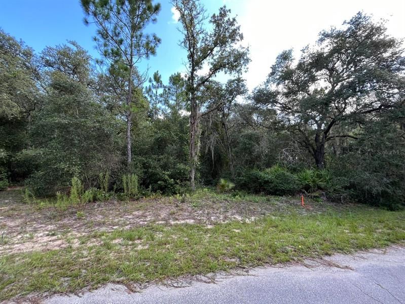 Recently Sold: $11,600 (0.24 acres)
