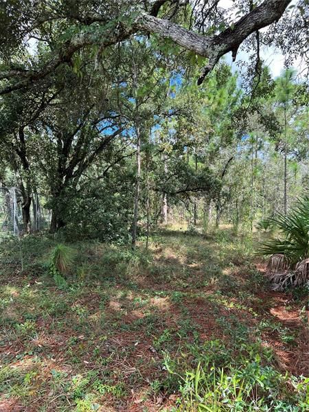 Recently Sold: $45,000 (0.59 acres)