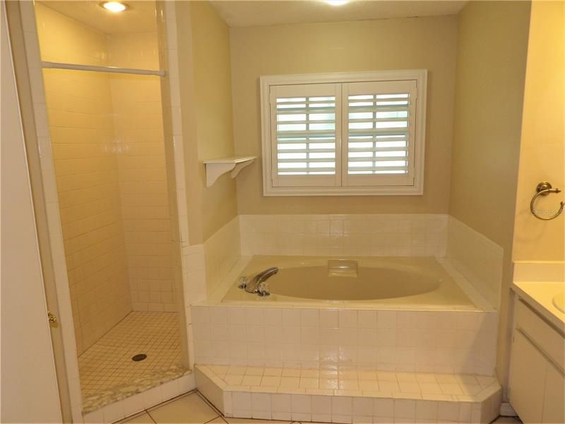 separate tub and shower