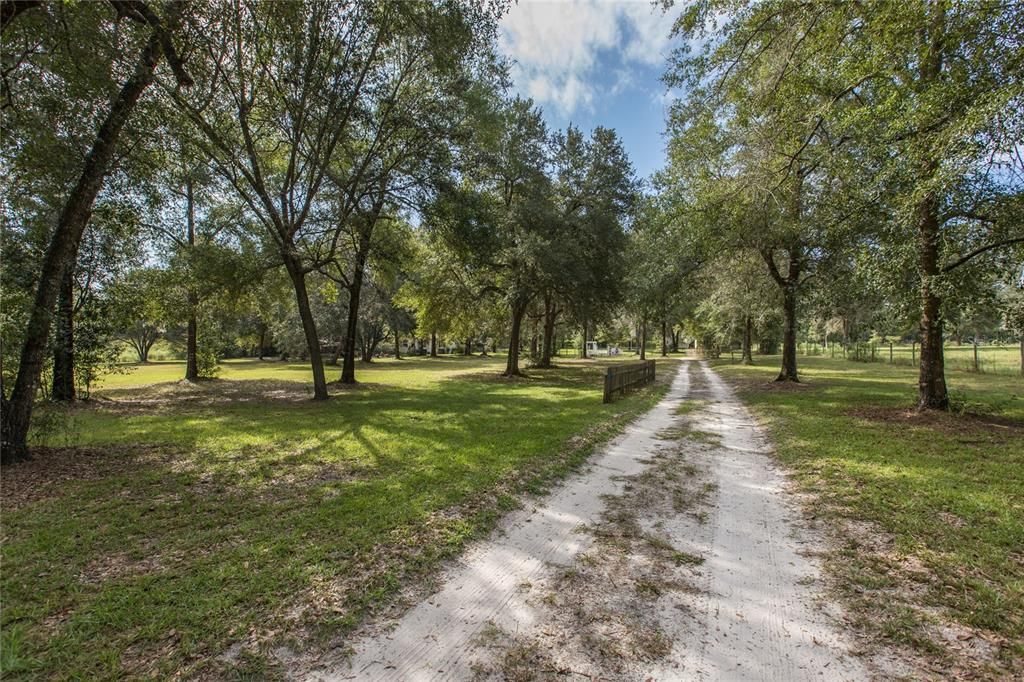 DRIVEWAY ENTRANCE