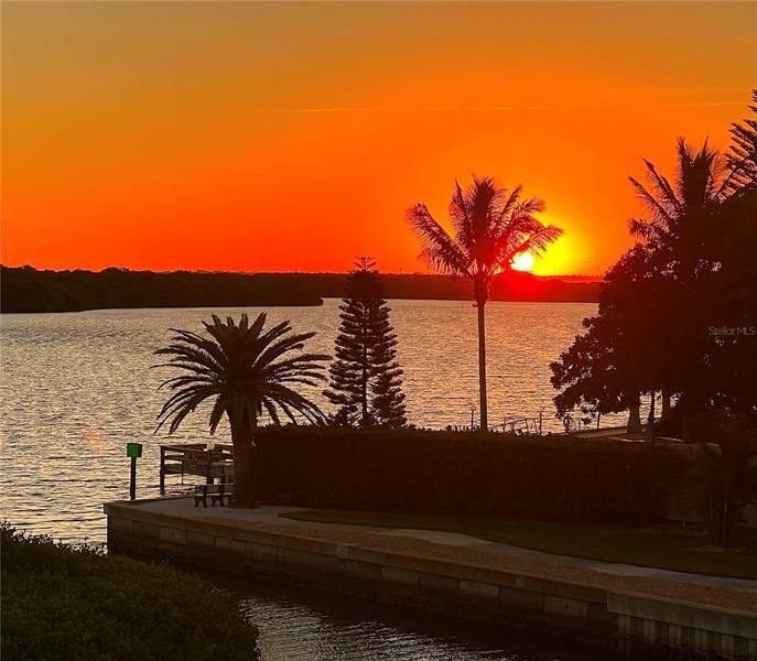 Sarasota Bay Sunrise at Windward Bay