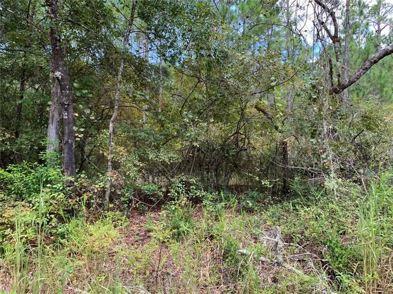 Recently Sold: $124,900 (9.68 acres)