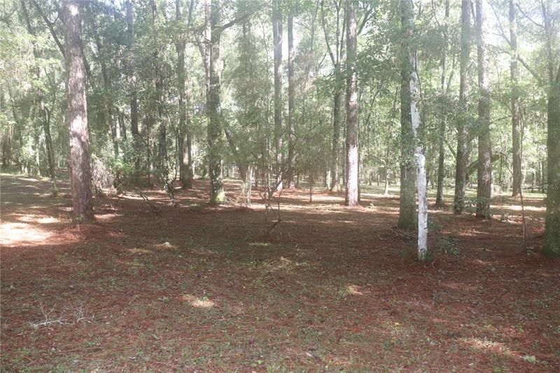 Recently Sold: $75,000 (3.84 acres)