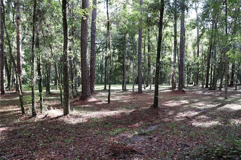 Recently Sold: $75,000 (3.84 acres)