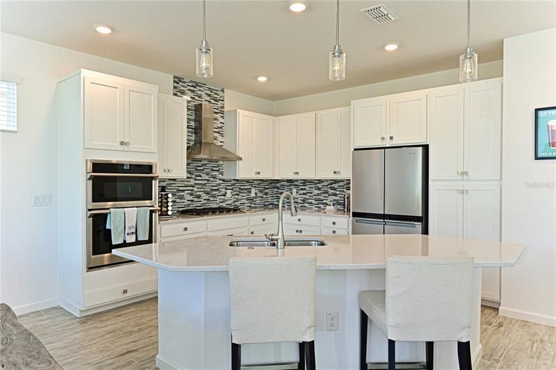 Stainless Steel Appliances, Quartz counters, upgraded backsplash and lighting.