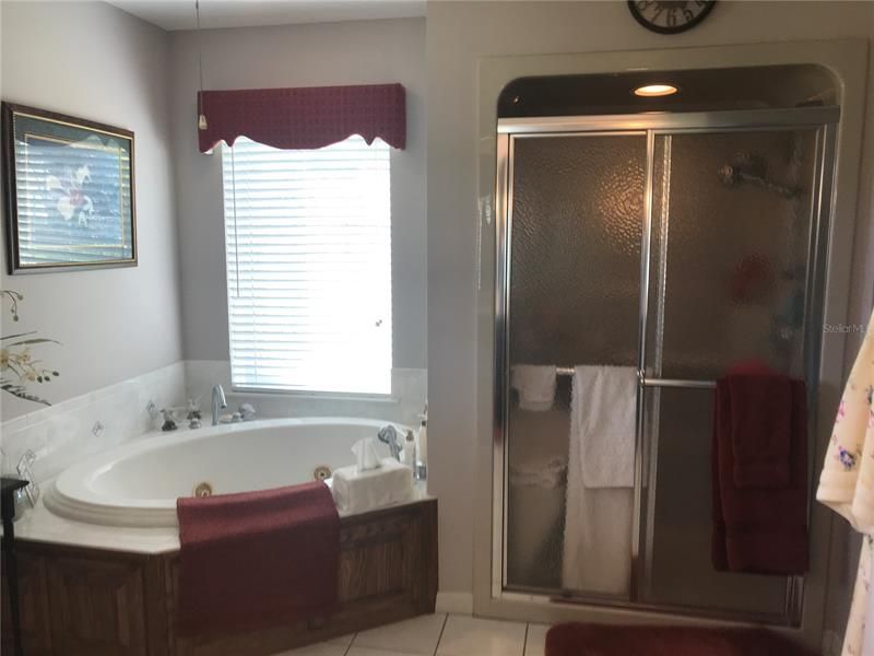 Mba Garden Jacuzzi Tub & Separate Shower