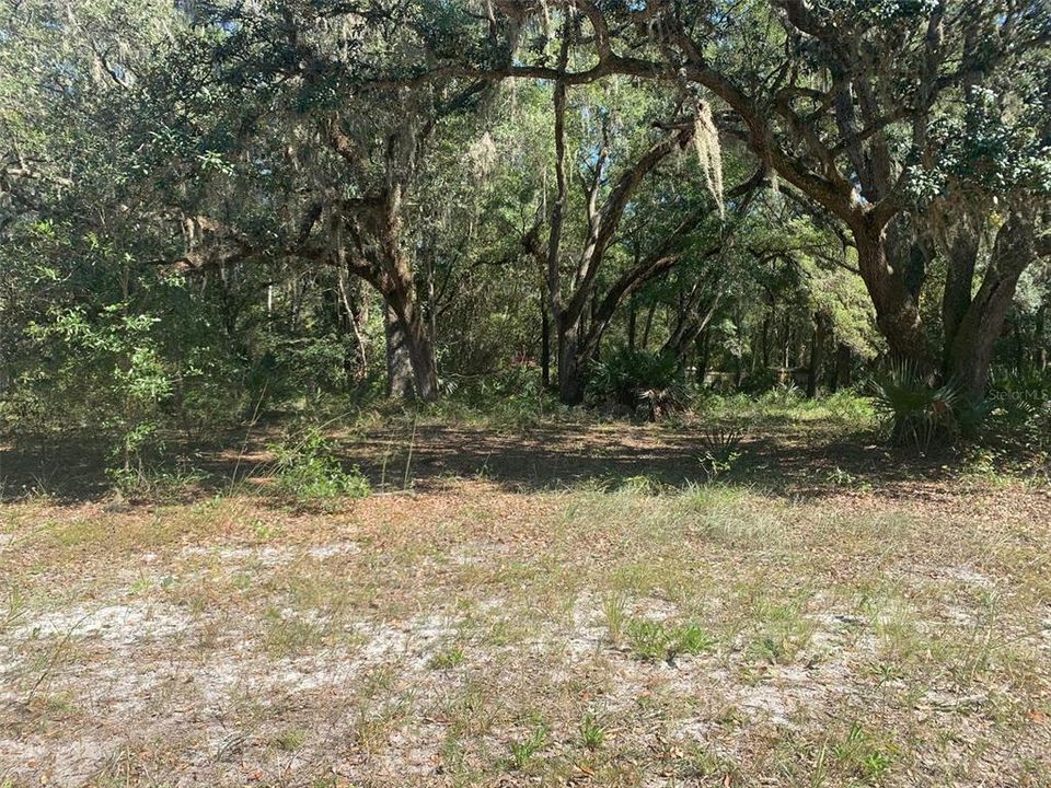 Recently Sold: $16,000 (0.34 acres)