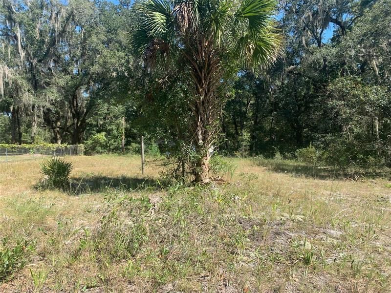 Recently Sold: $16,000 (0.34 acres)