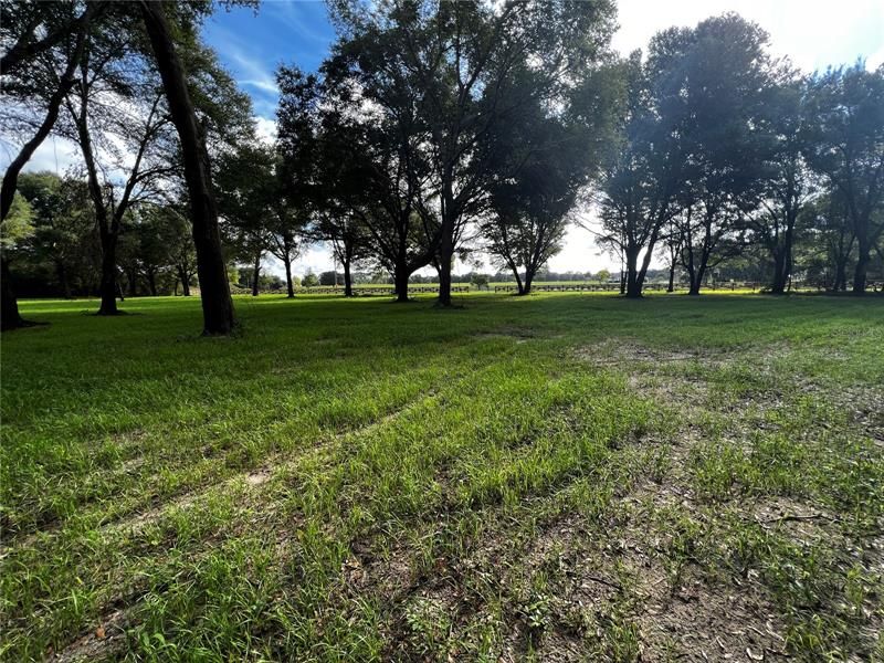 Vendido Recientemente: $325,000 (7.00 acres)