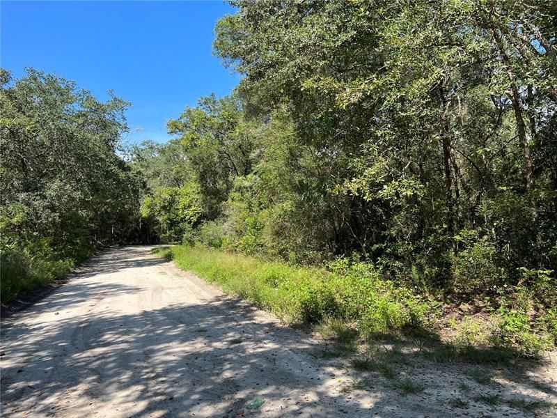Recently Sold: $5,995 (0.30 acres)