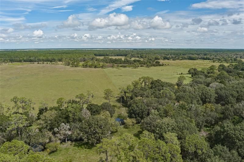 For Sale: $1,500,000 (100.00 acres)