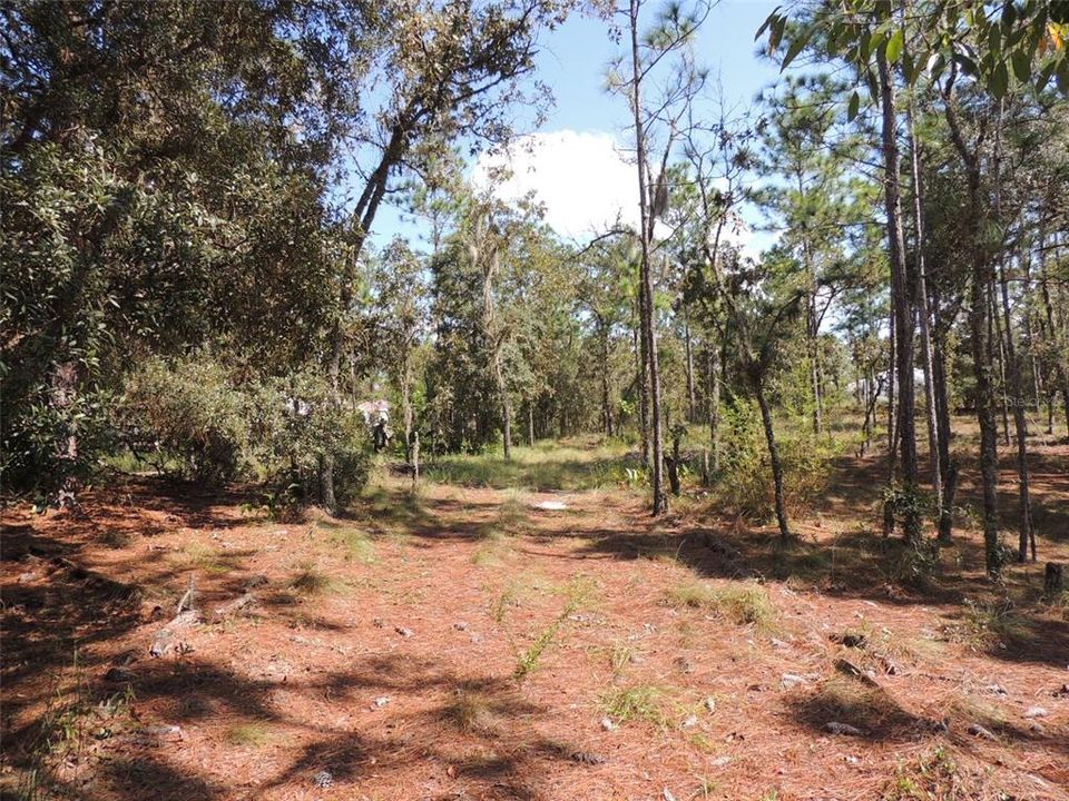 Recently Sold: $29,500 (1.25 acres)