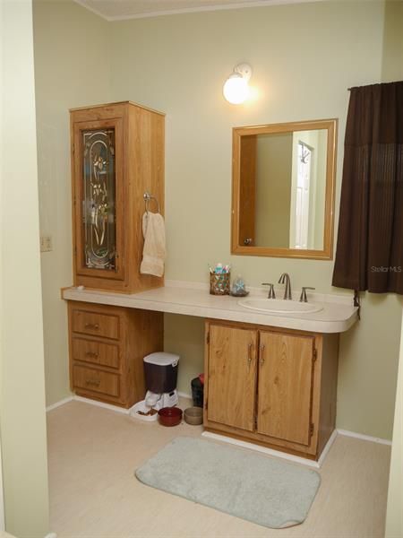 Master bathroom vanity and storage