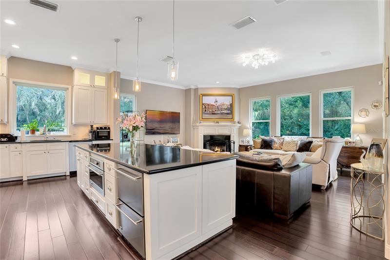 Gourmet Remodeled Kitchen Opens to the Family Room
