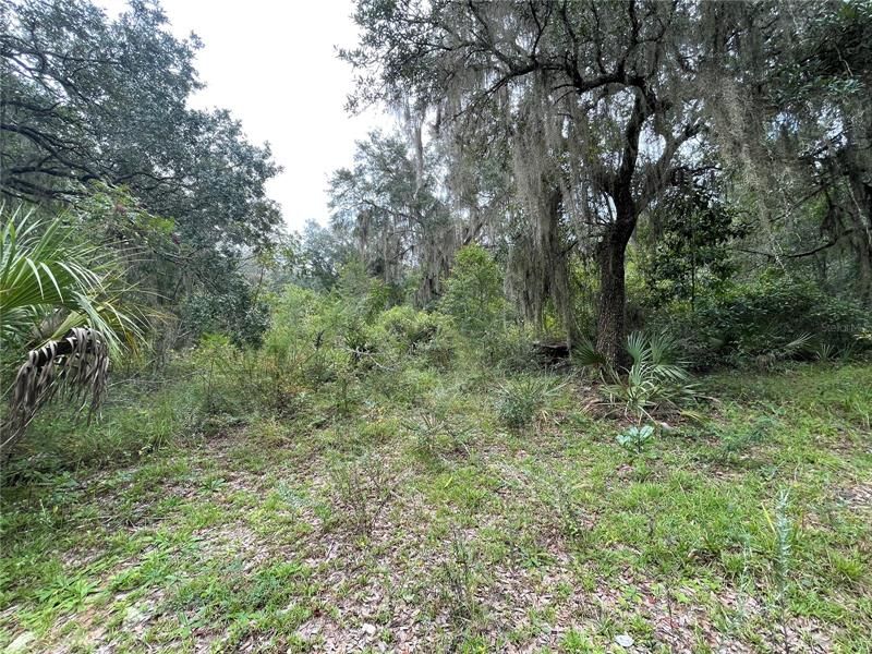 Recently Sold: $30,000 (0.63 acres)