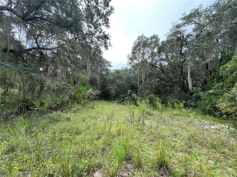 Recently Sold: $30,000 (0.63 acres)