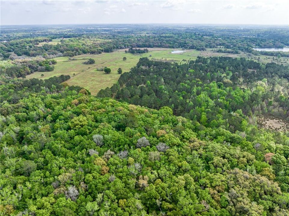 На продажу: $7,500,000 (370.00 acres)