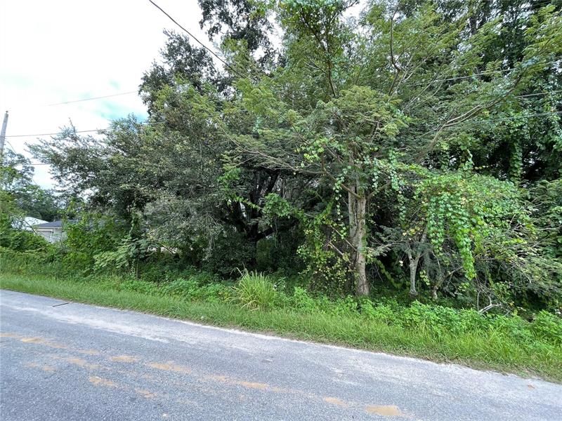 Recently Sold: $55,000 (0.73 acres)