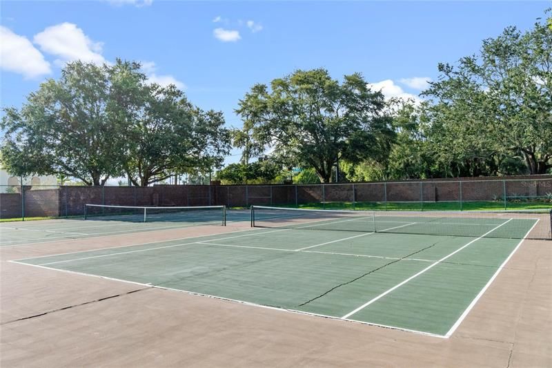 Maitland Club Tennis Courts