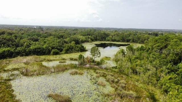 For Sale: $1,690,000 (87.81 acres)