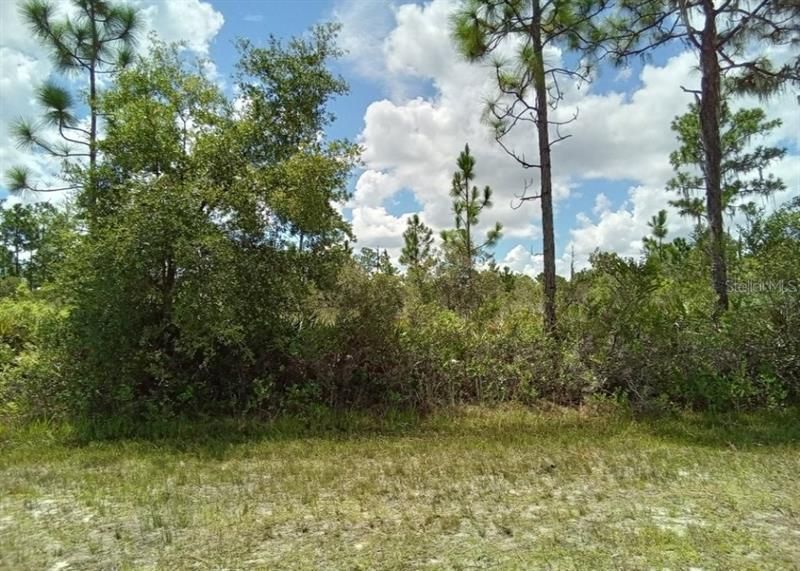 Recently Sold: $24,900 (1.05 acres)