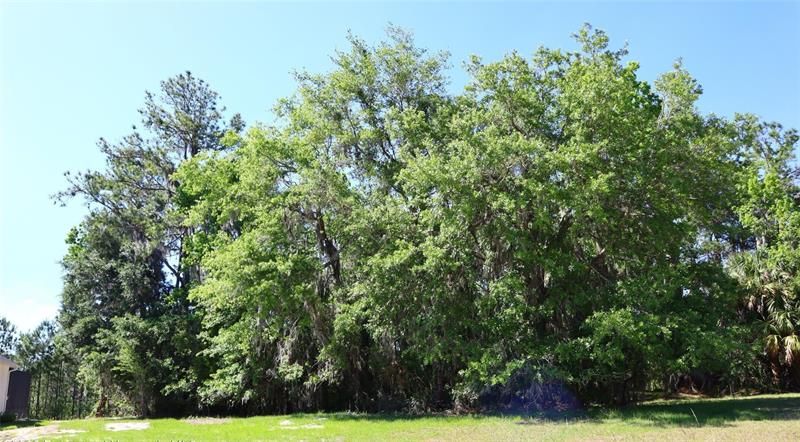 Recently Sold: $45,000 (0.30 acres)