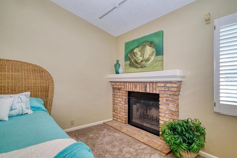 Wood burning fireplace in master bedroom