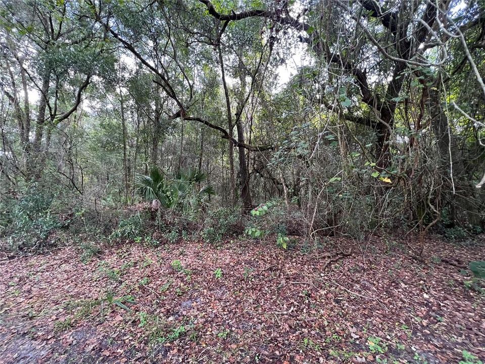 Active With Contract: $130,000 (5.00 acres)