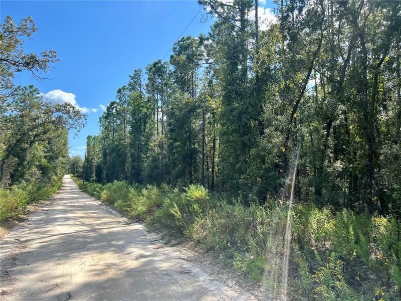 Recently Sold: $19,000 (1.07 acres)