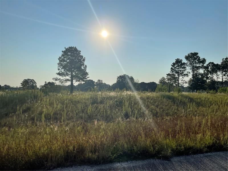 Recently Sold: $289,900 (2.60 acres)