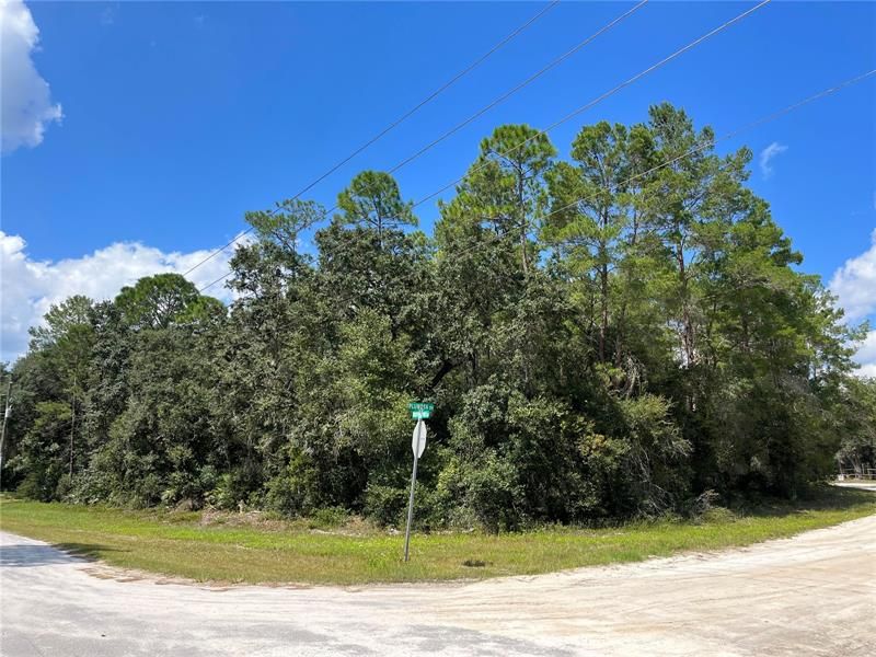 Recently Sold: $14,000 (1.06 acres)
