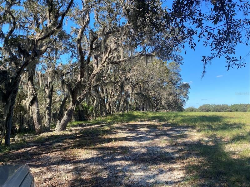 Recently Sold: $250,000 (12.52 acres)