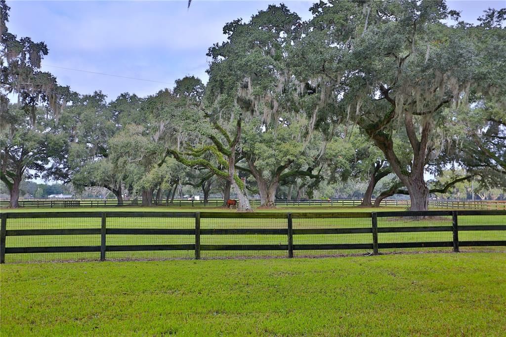 For Sale: $4,150,000 (4 beds, 3 baths, 3536 Square Feet)