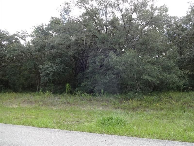Recently Sold: $37,900 (1.01 acres)