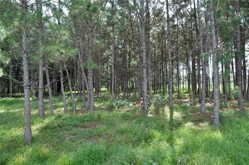 Recently Sold: $350,000 (20.13 acres)